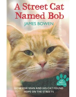 A Street Cat Named Bob | de James Bowen