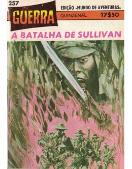 Guerra - N.º 257 - A Batalha de Sullivan