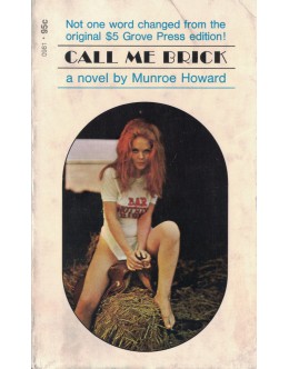 Call Me Brick | de Munroe Howard