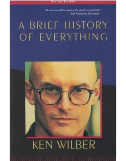 A Brief History of Everything | de Ken Wilber