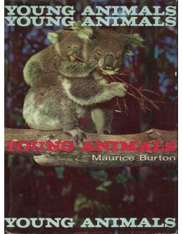 Young Animals | de Maurice Burton