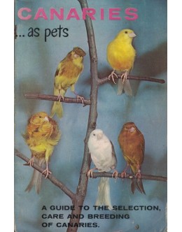 Canaries as Pets | de Evelyn Miller
