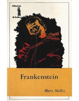 Frankenstein | de Mary Shelley