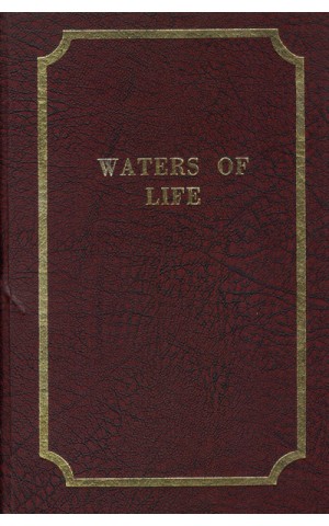 Waters of Life | de Solomon Brown