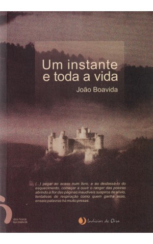 Um Instante e Toda a Vida | de João Boavida