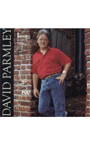 David Parmley | I Know A Good Thing [CD]