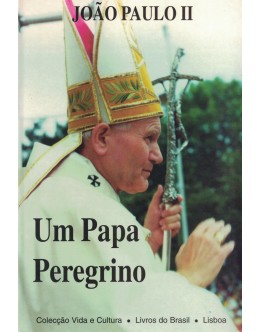 Um Papa Peregrino | de João Paulo II