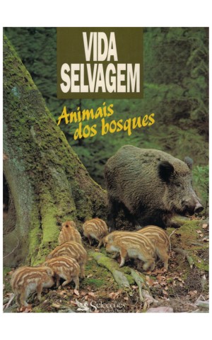 Vida Selvagem - Animais dos Bosques