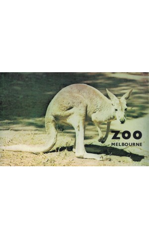 Welcome to Melbourne Zoo