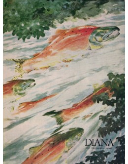 Diana - N.º 238 - Julho-Agosto 1971