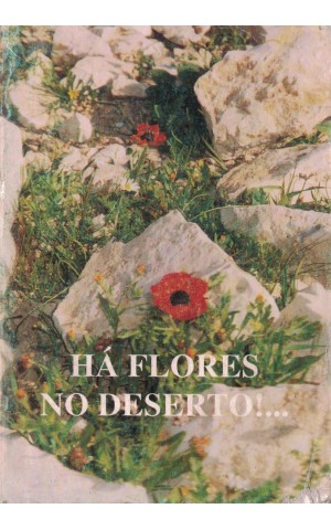 Há Flores no Deserto!... | de Fraternidade Missionária de Cristo-Jovem
