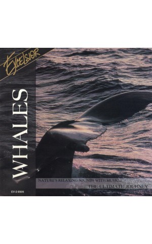 Eco Voyage | Whales [CD]