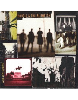Hootie & The Blowfish | Cracked Rear View [CD]