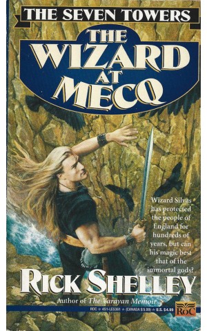 The Seven Towers: The Wizard at Mecq | de Rick Shelley