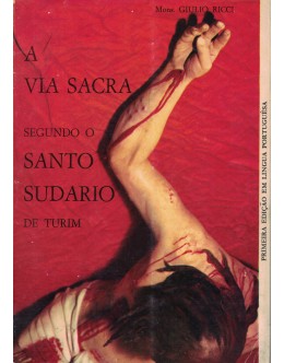Via Sacra Segundo o Santo Sudário de Turim | de Mons. Giulio Ricci