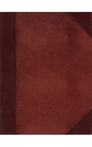Fraseário Comercial e Industrial de Português-Inglês [2 Volumes] | de Henrique José da Silva Queiroz
