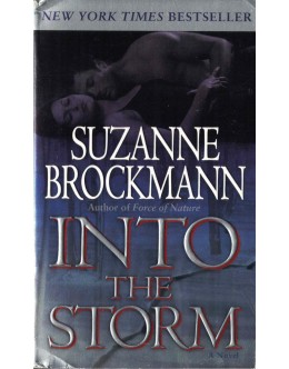 Into the Storm | de Suzanne Brockmann