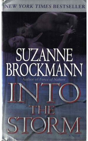 Into the Storm | de Suzanne Brockmann