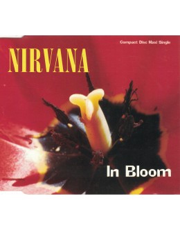 Nirvana | In Bloom [CD-Single]