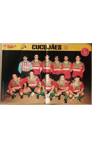 Poster: Cucujães - Vencedor da Série C III divisão 1994/95 / Carlos Rui - Cucujães