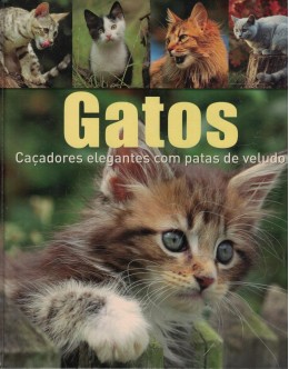 Gatos | de Birgit Adam, Beate Ralston, Julia Christ, Ines Christner-Benedetti