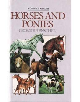 Horses and Ponies | de Georgie Henschel